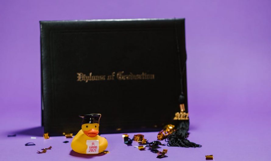 Купить диплом с внесением в реестр института